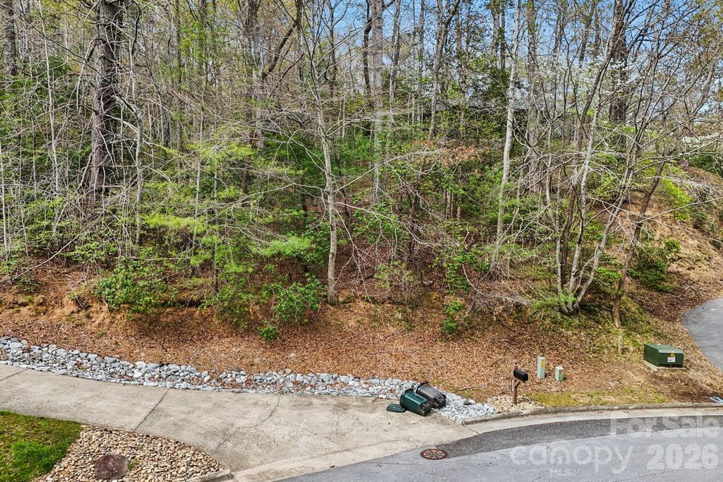 Lot 61 Deerlake Drive, Brevard, NC 28712