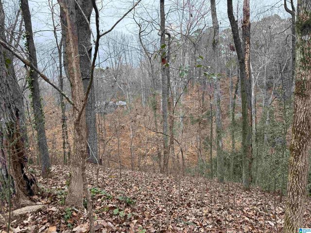 FAIRVIEW DRIVE, Sylacauga, AL 35150