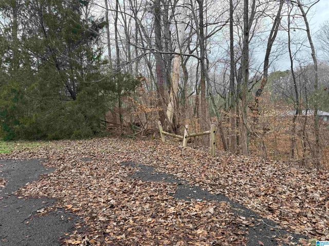 FAIRVIEW DRIVE, Sylacauga, AL 35150