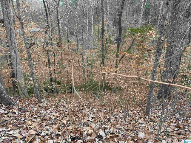 FAIRVIEW DRIVE, Sylacauga, AL 35150