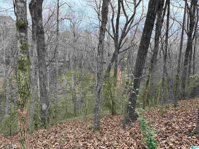 FAIRVIEW DRIVE, Sylacauga, AL 35150