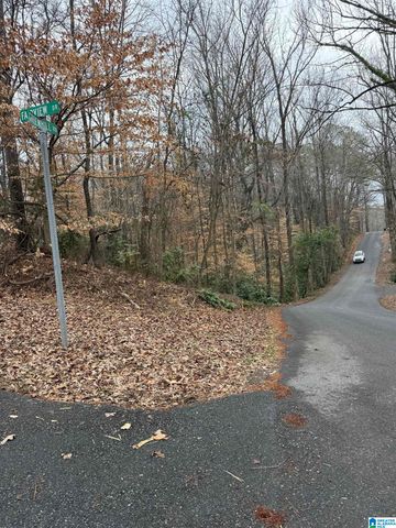 FAIRVIEW DRIVE, Sylacauga, AL 35150