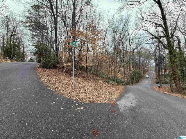 FAIRVIEW DRIVE, Sylacauga, AL 35150