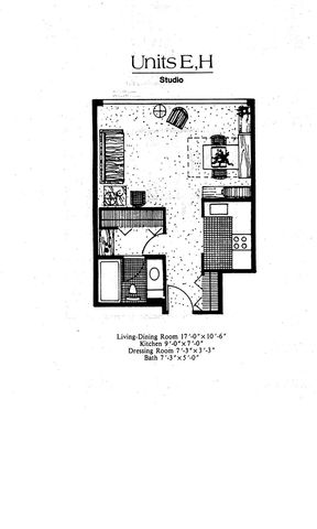 555 E William Street 17H, Ann Arbor, MI 48104