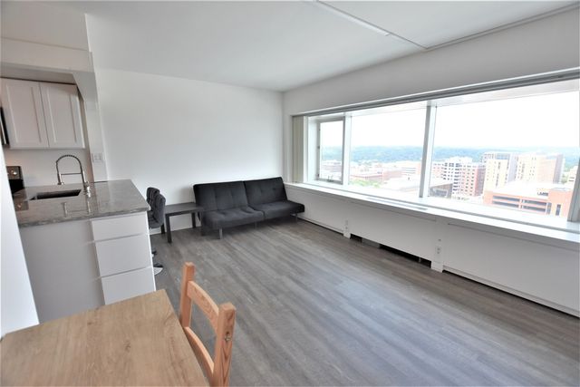 555 E William Street 17H, Ann Arbor, MI 48104