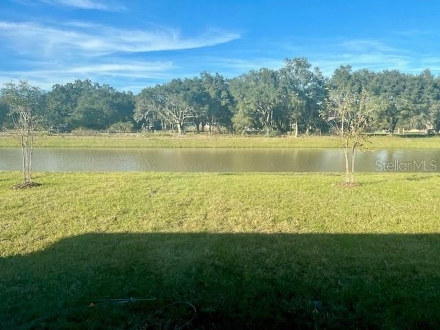 1910 BIRNHAM WOOD BEND, Kissimmee, FL 34746