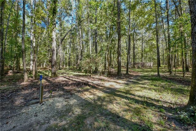 15986 Riverbend, Moundville, AL 35474