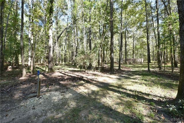 15986 Riverbend, Moundville, AL 35474