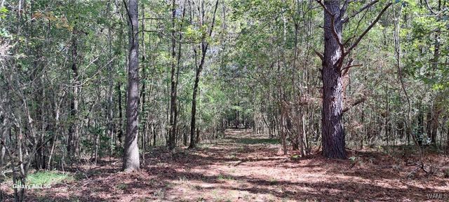 15986 Riverbend, Moundville, AL 35474