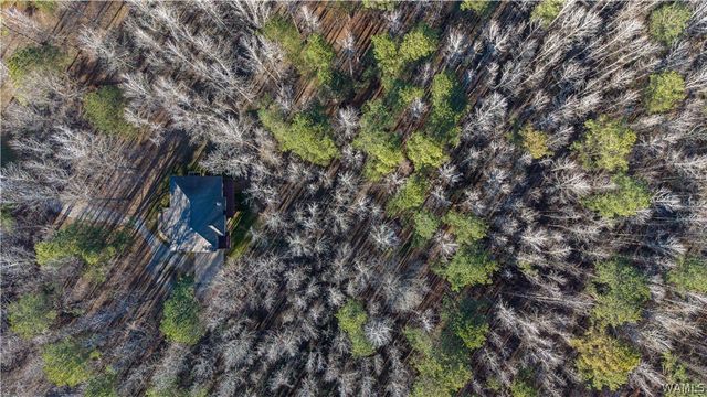 15986 Riverbend, Moundville, AL 35474