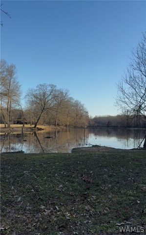 15986 Riverbend, Moundville, AL 35474