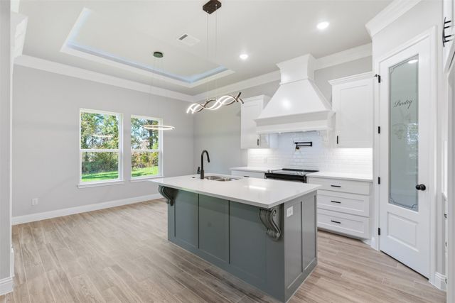 306 Sun Flower Court, Tolar, TX 76476