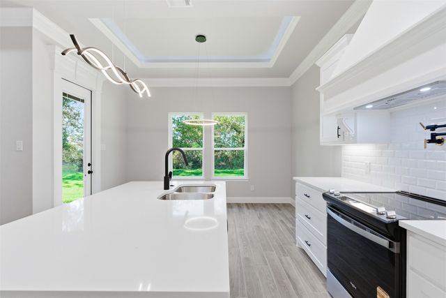 306 Sun Flower Court, Tolar, TX 76476