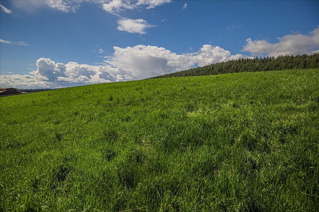Nhn W. Kootenai Road, Rexford, MT 59930 photo 5