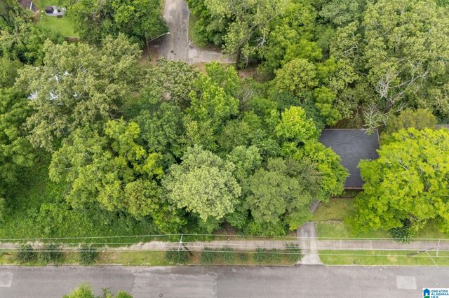 8038 7TH AVENUE S, Birmingham, AL 35206