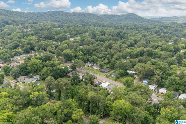 8038 7TH AVENUE S, Birmingham, AL 35206