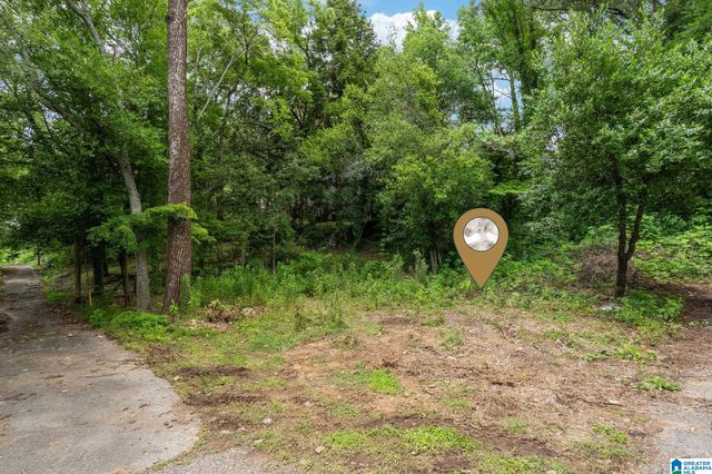 8038 7TH AVENUE S, Birmingham, AL 35206