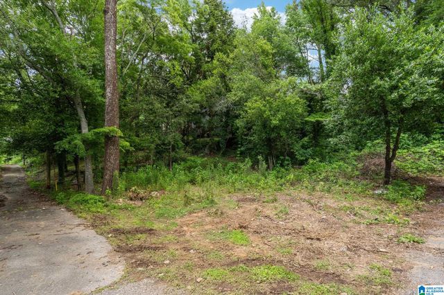 8038 7TH AVENUE S, Birmingham, AL 35206