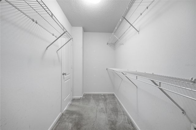 25337 LEXINGTON OAKS BOULEVARD, Wesley Chapel, FL 33544