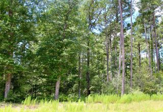 14-36-3 Larkspur Lane, Huntsville, TX 77358