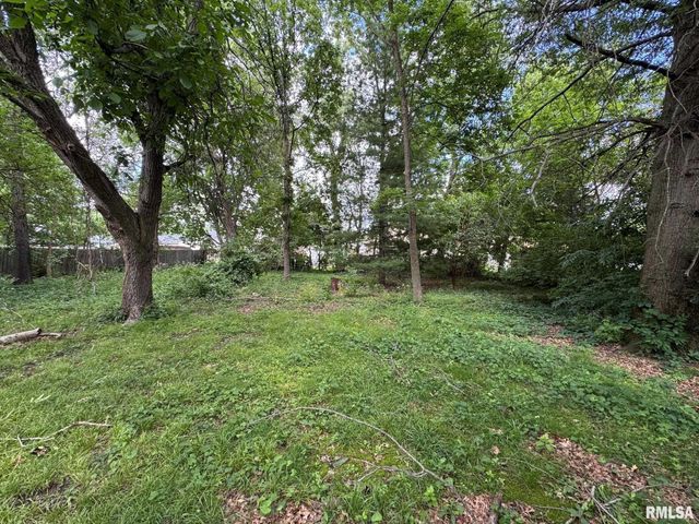 154 N STEWART Street, Creve Coeur, IL 61610