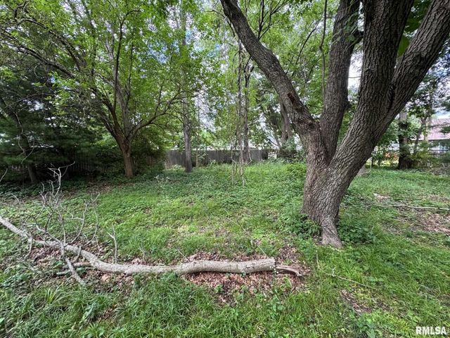 154 N STEWART Street, Creve Coeur, IL 61610
