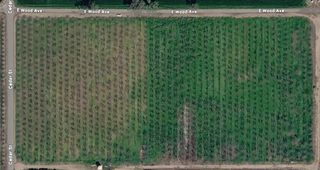 21600 Cedar Avenue, Laton, CA 93242
