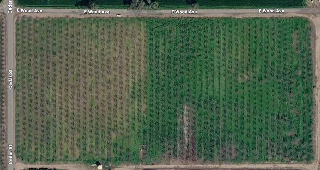 21600 Cedar Avenue, Laton, CA 93242