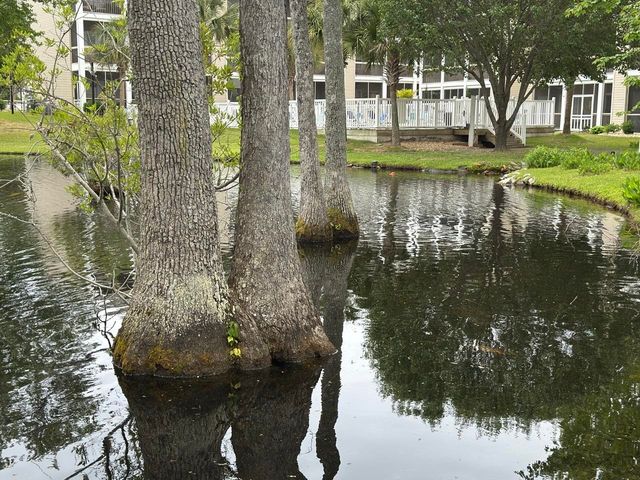 1058 Sea Mountain Hwy Unit 5303, North Myrtle Beach, SC 29582