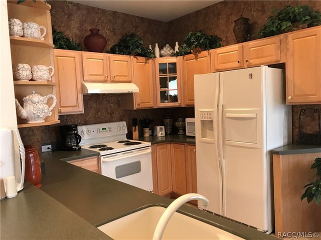 1716 W Lago Loop, Lecanto, FL 34461