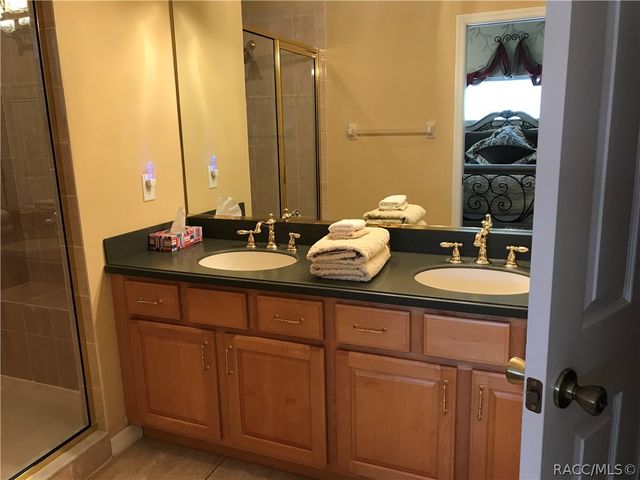 1716 W Lago Loop, Lecanto, FL 34461