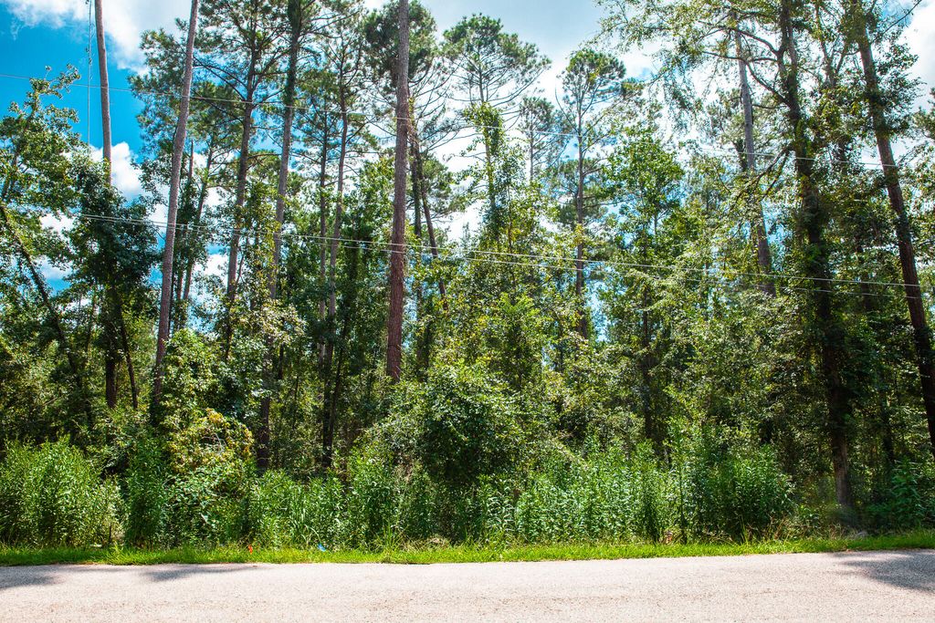 Lot 5 Furey Drive, Clarks Hill, SC 29821