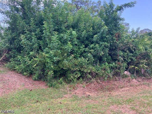 1494 Youngman ST, Port Charlotte, FL 33953