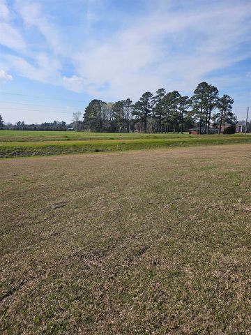 169 River Birch Dr., Loris, SC 29569