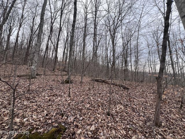 0 Lot 62 Apache Rd, Jamestown, TN 38556