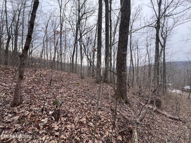 0 Lot 62 Apache Rd, Jamestown, TN 38556