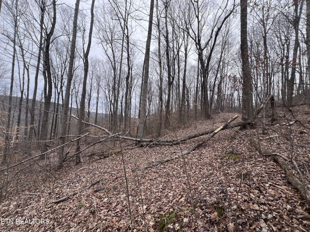 0 Lot 62 Apache Rd, Jamestown, TN 38556