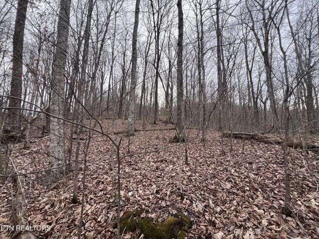 0 Lot 62 Apache Rd, Jamestown, TN 38556