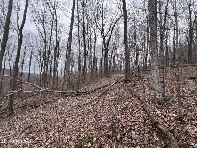 0 Lot 62 Apache Rd, Jamestown, TN 38556