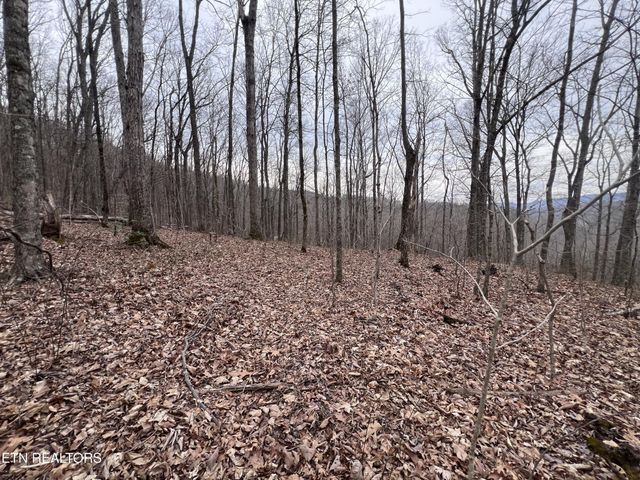 0 Lot 62 Apache Rd, Jamestown, TN 38556