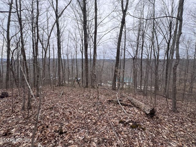 0 Lot 62 Apache Rd, Jamestown, TN 38556