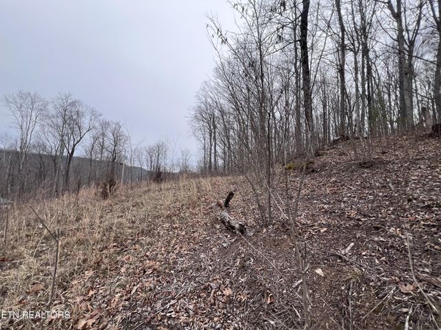 0 Lot 62 Apache Rd, Jamestown, TN 38556