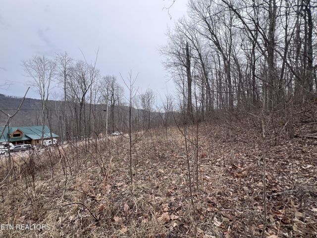 0 Lot 62 Apache Rd, Jamestown, TN 38556