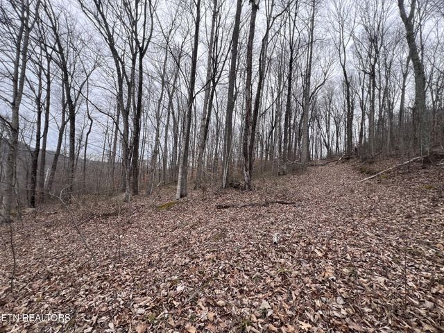 0 Lot 62 Apache Rd, Jamestown, TN 38556