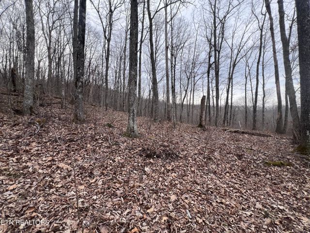 0 Lot 62 Apache Rd, Jamestown, TN 38556