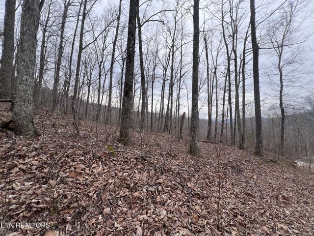 0 Lot 62 Apache Rd, Jamestown, TN 38556