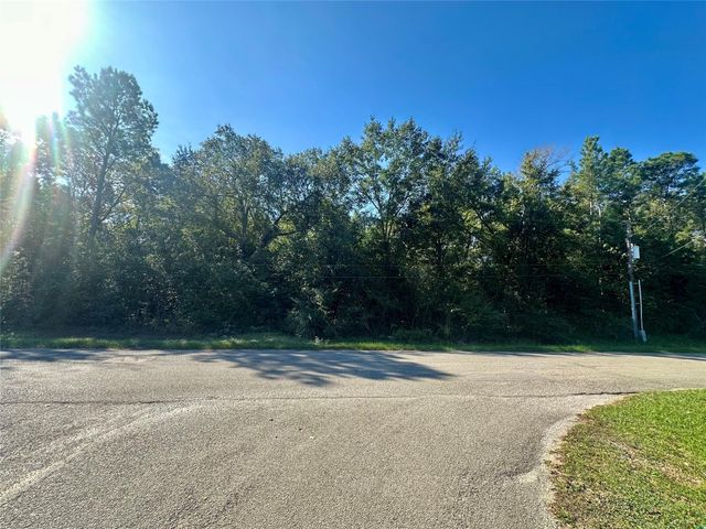 30003 Oakview, Magnolia, TX 77354