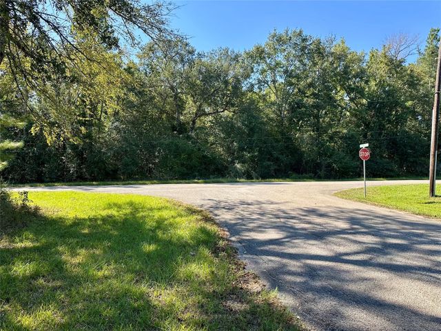 30003 Oakview, Magnolia, TX 77354