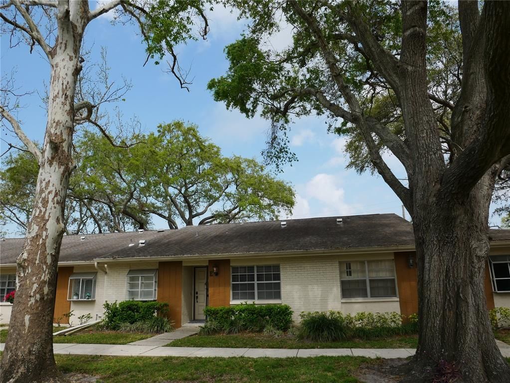 2297 LARK CIRCLE E E, Palm Harbor, FL 34684