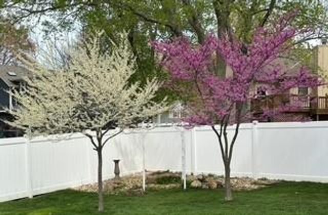 729 SE Claremont Street, Lee's Summit, MO 64063